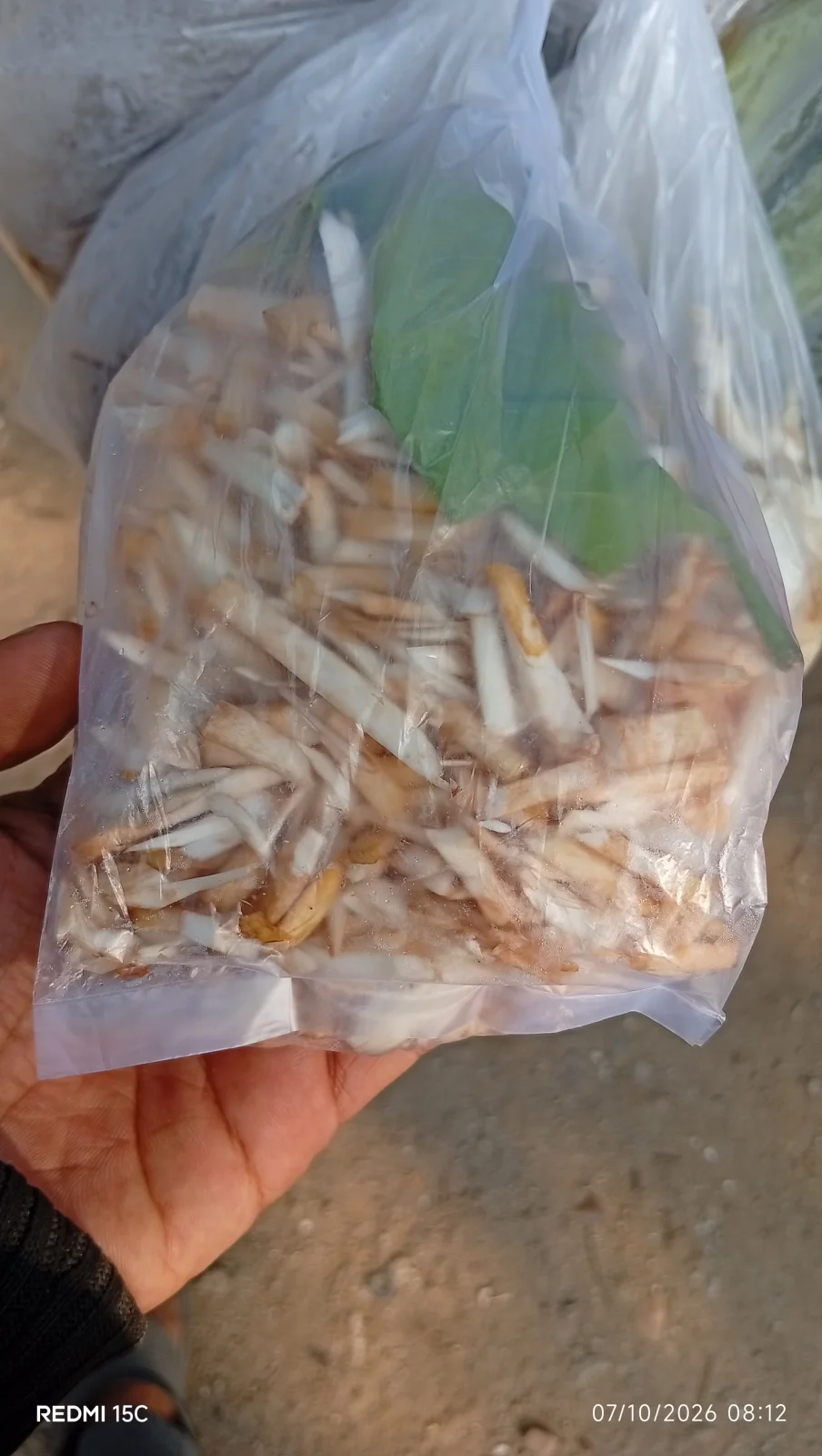 Nagka/gori cacak
