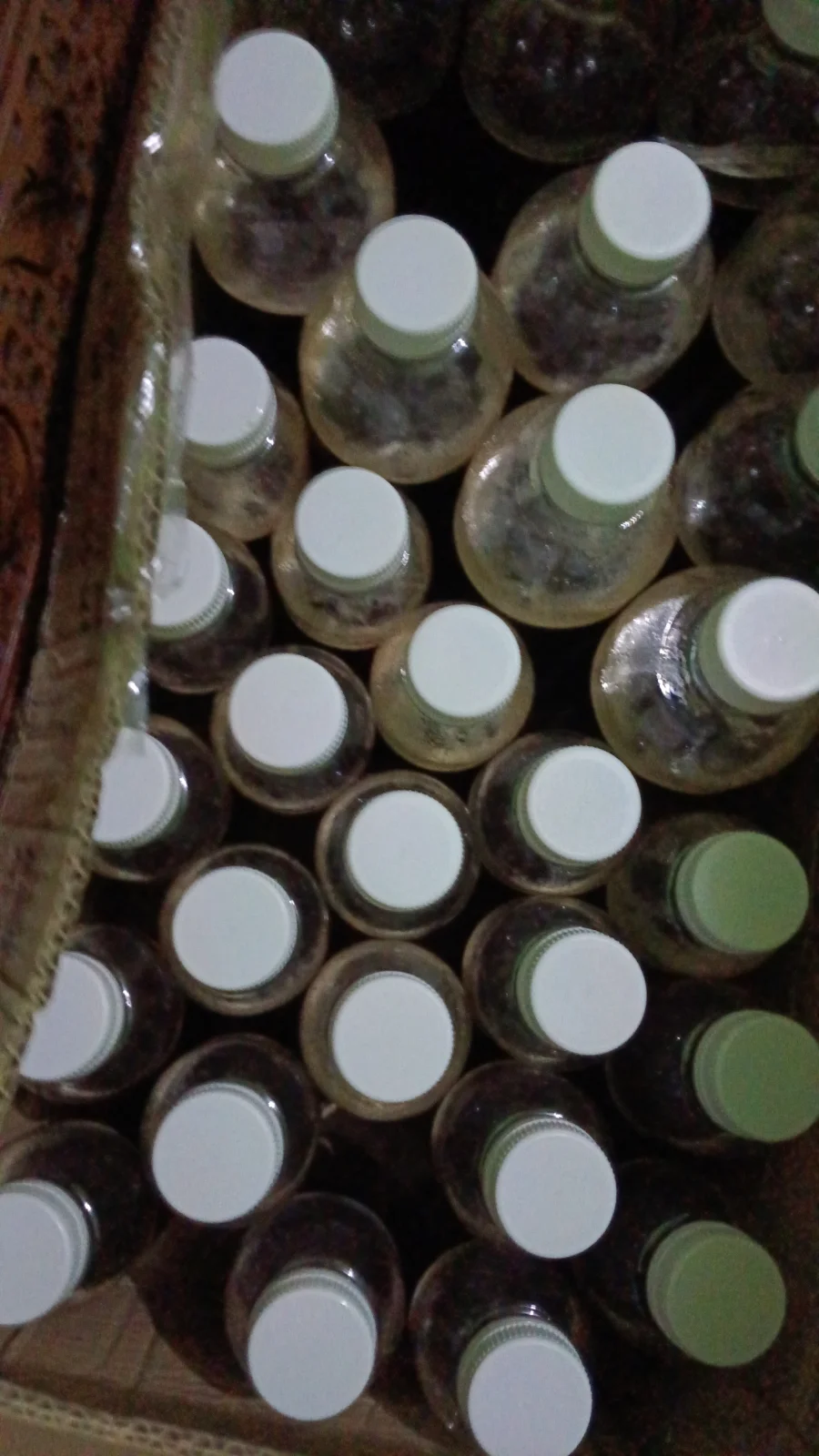 Madu Lebah