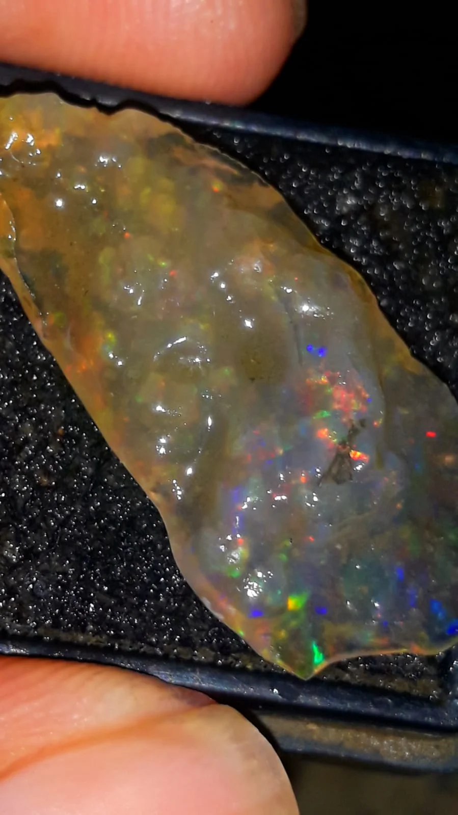 Black Opal Kalimaya Banten