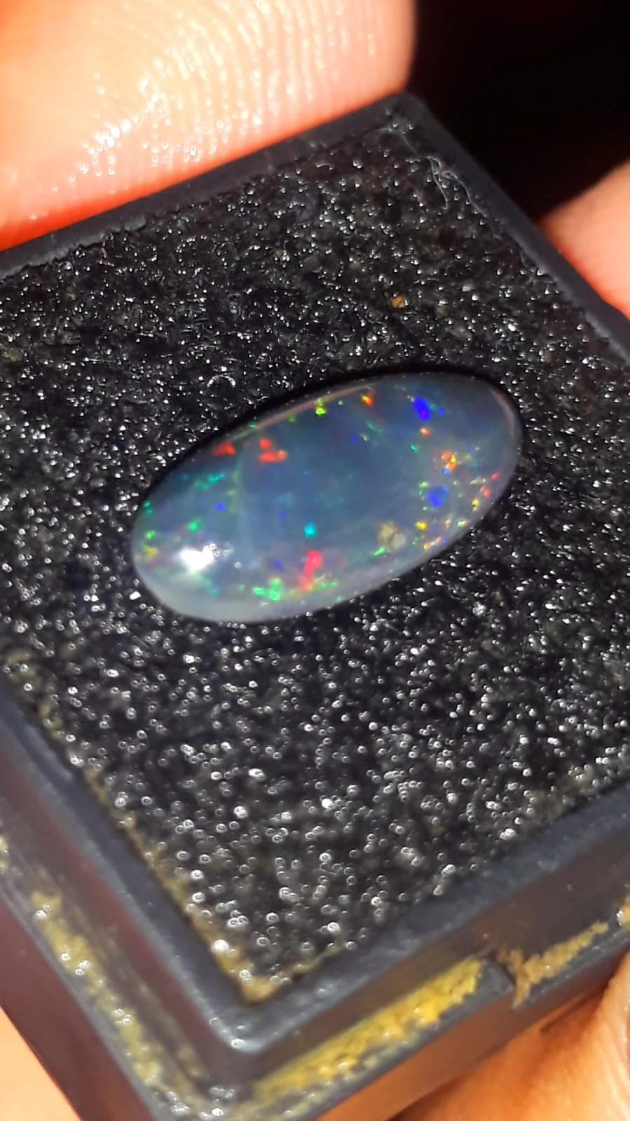 Black Opal Kalimaya Banten