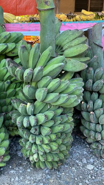 Pisang Mengkal