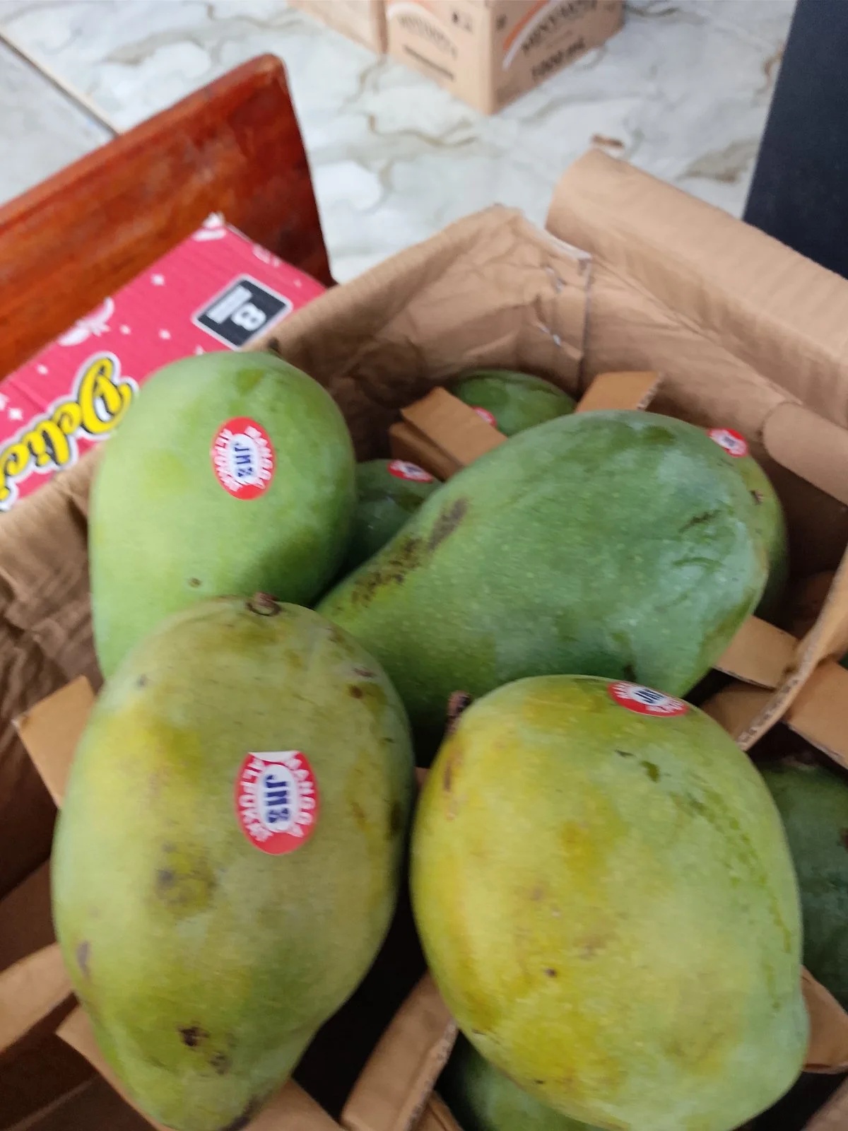 Mangga Alpukat