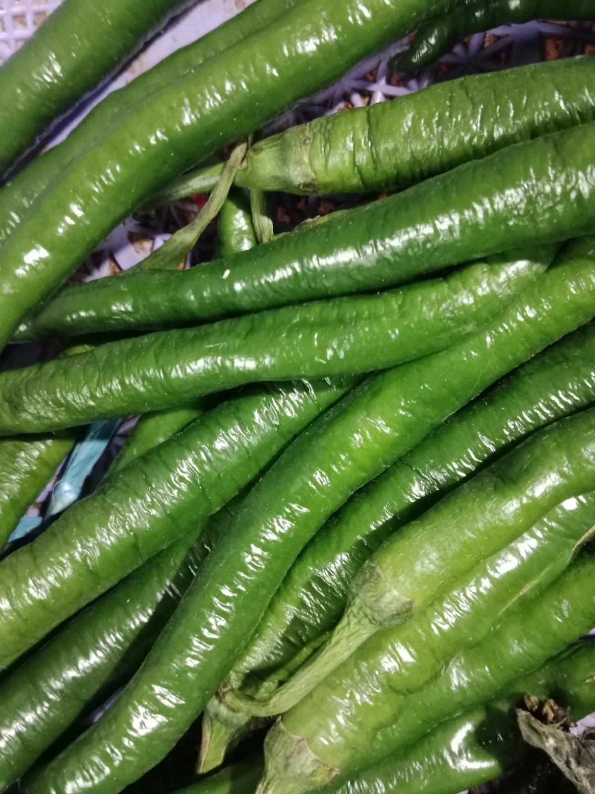 Cabe ijo
