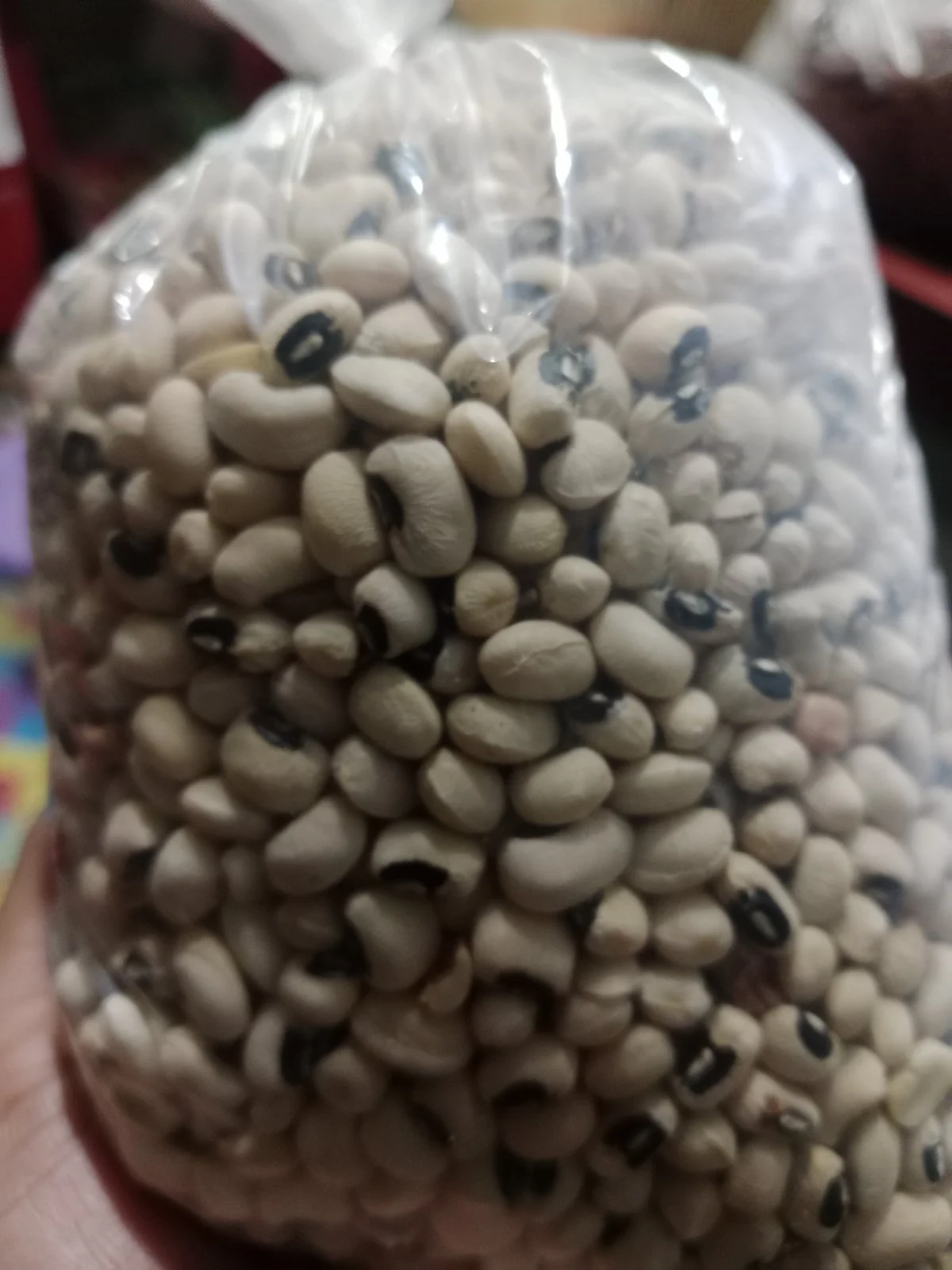 Kacang putih