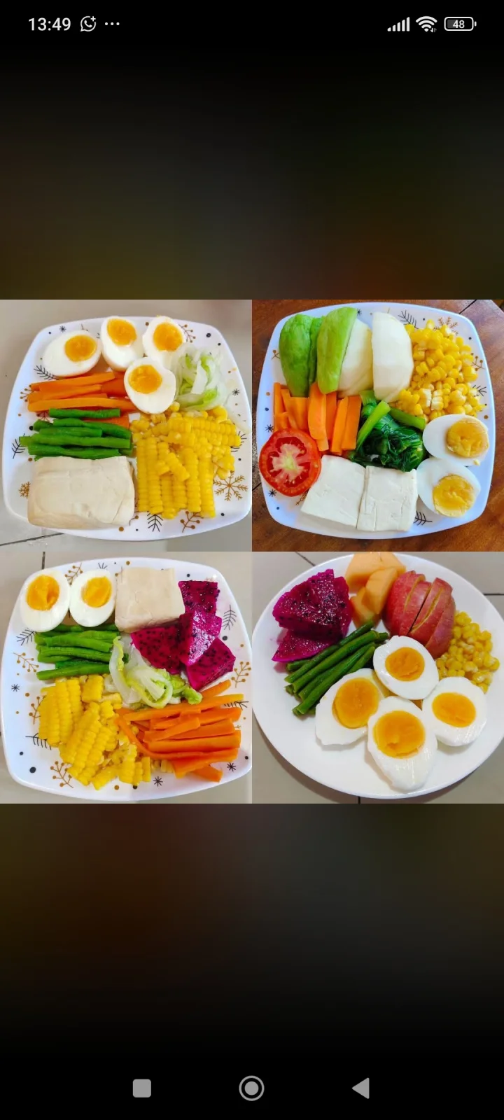 makanan sehat untuk diet