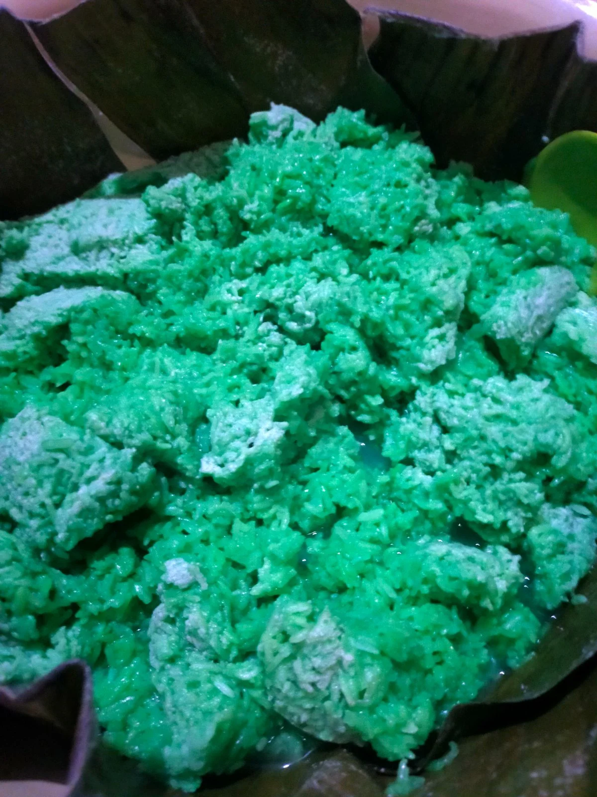 Tapai ketan pandan