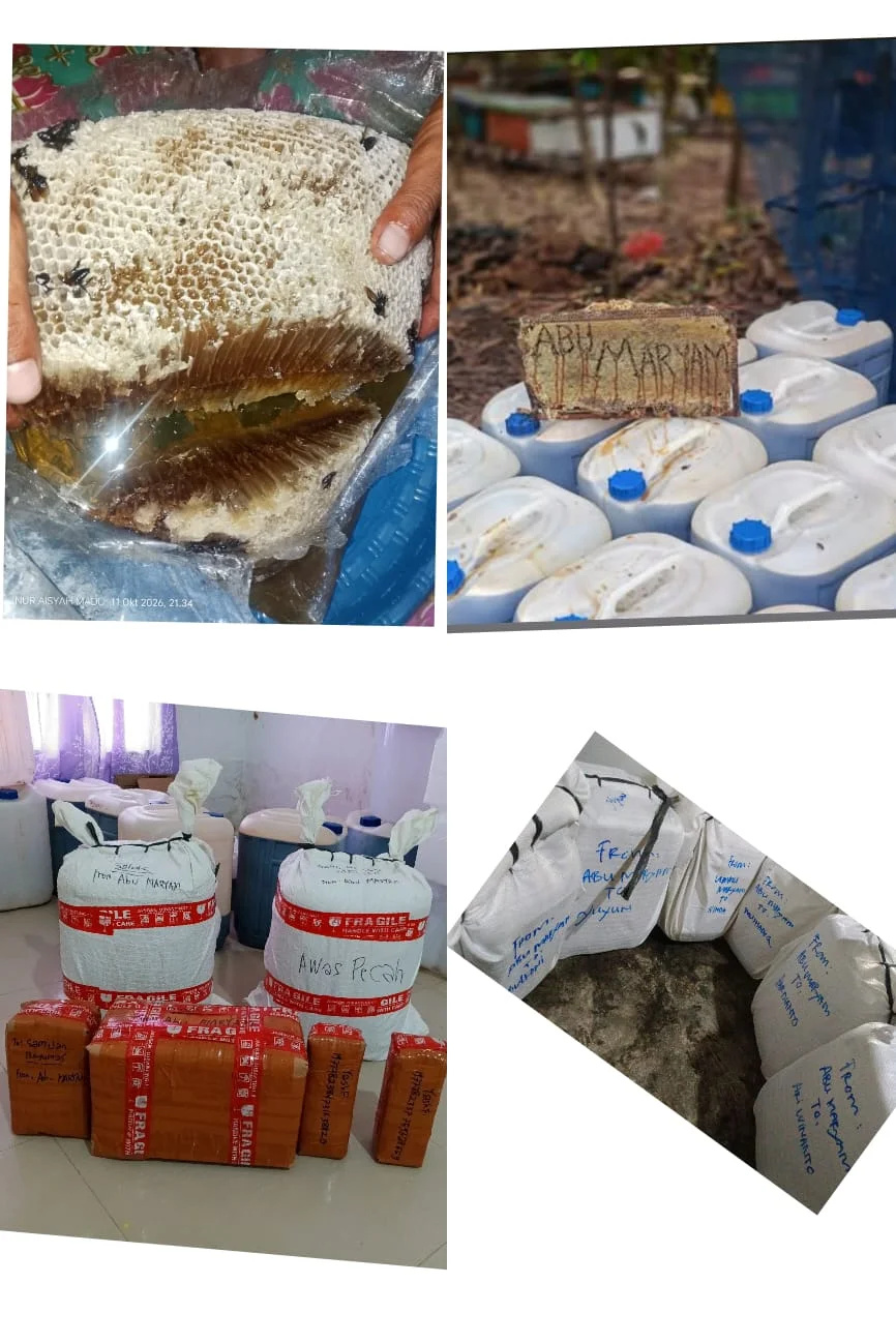 MADU SIALANG/LEBAH LIAR SUMATERA