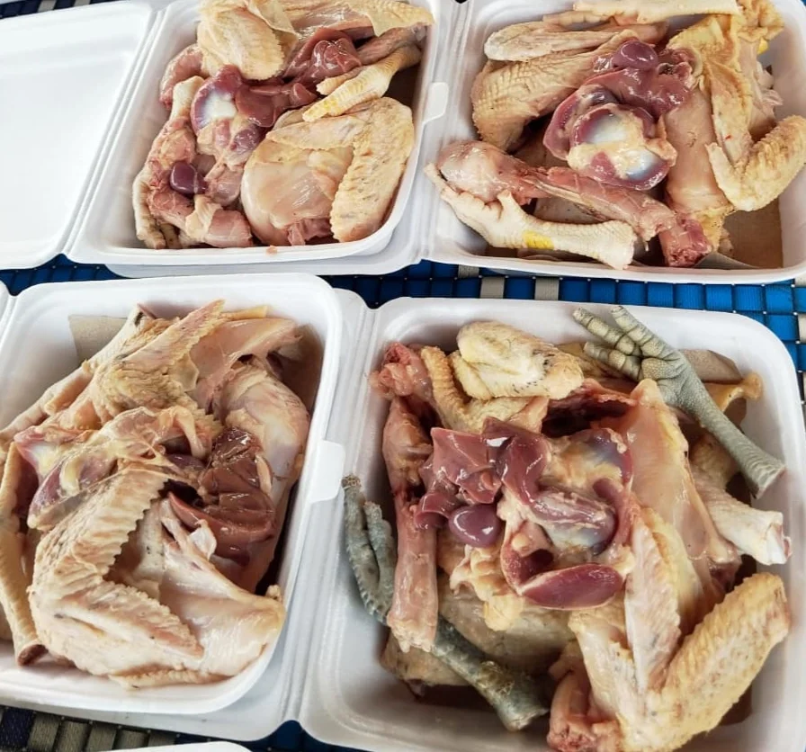 Ayam kampung