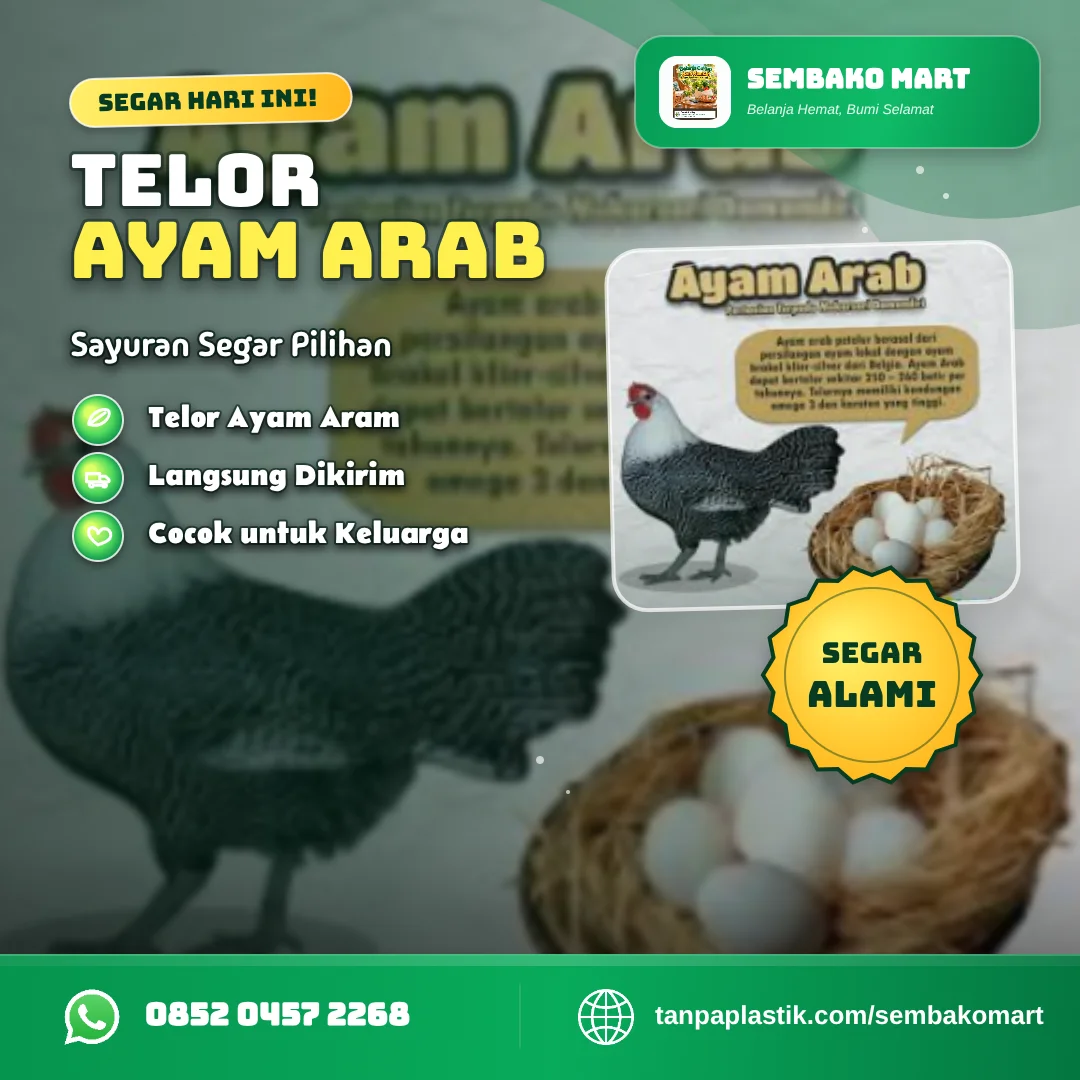 TELOR AYAM ARAB ( /butir)