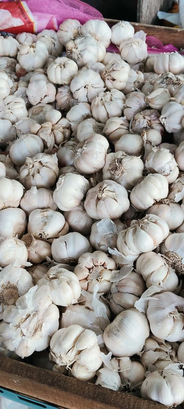 Bawang putih