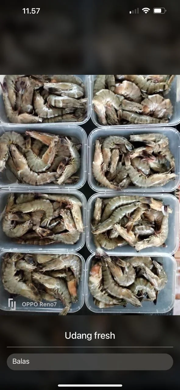 udang bersih siap masak kemasan 1kg