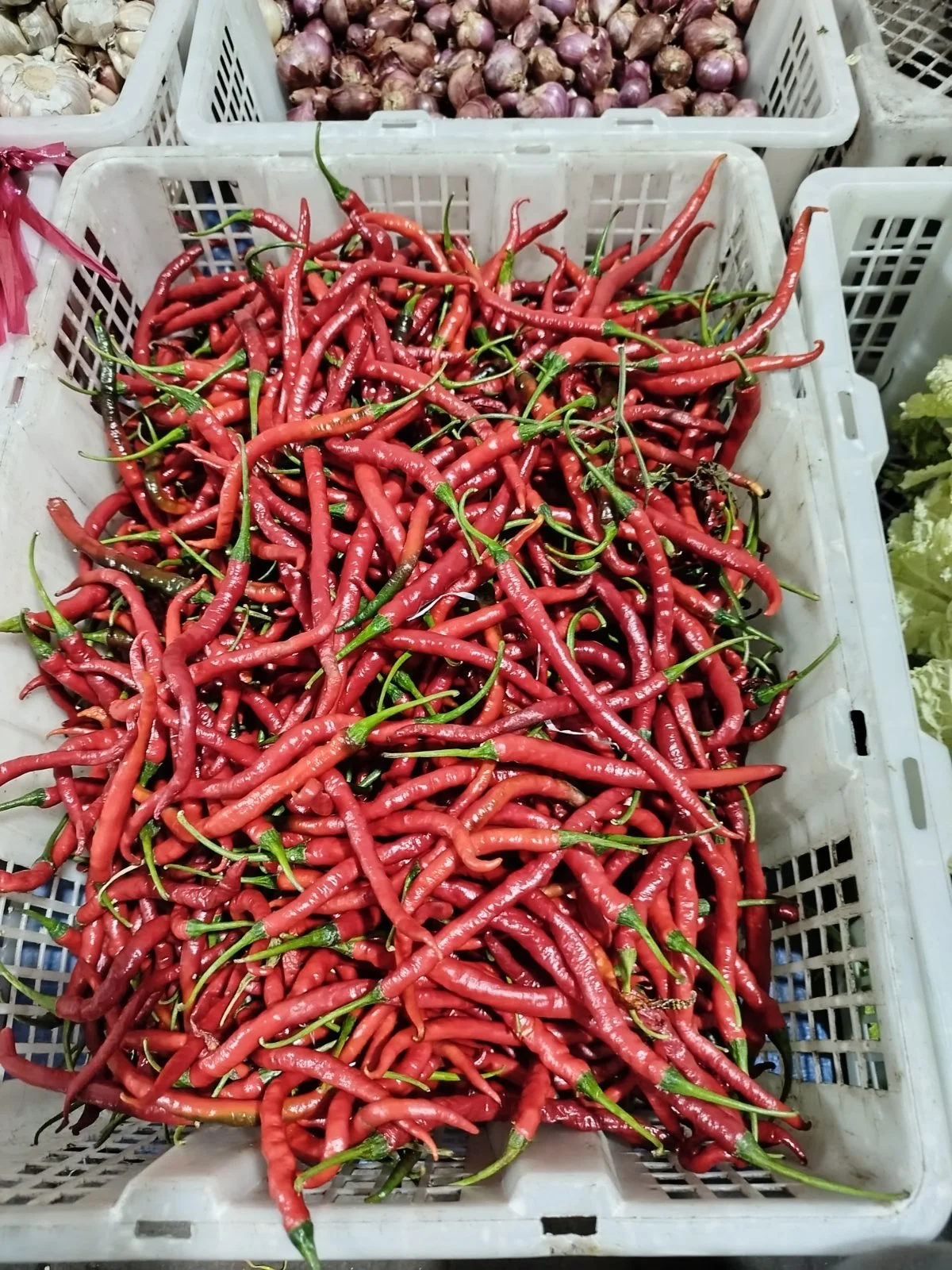 cabe keriting kemasan 1kg