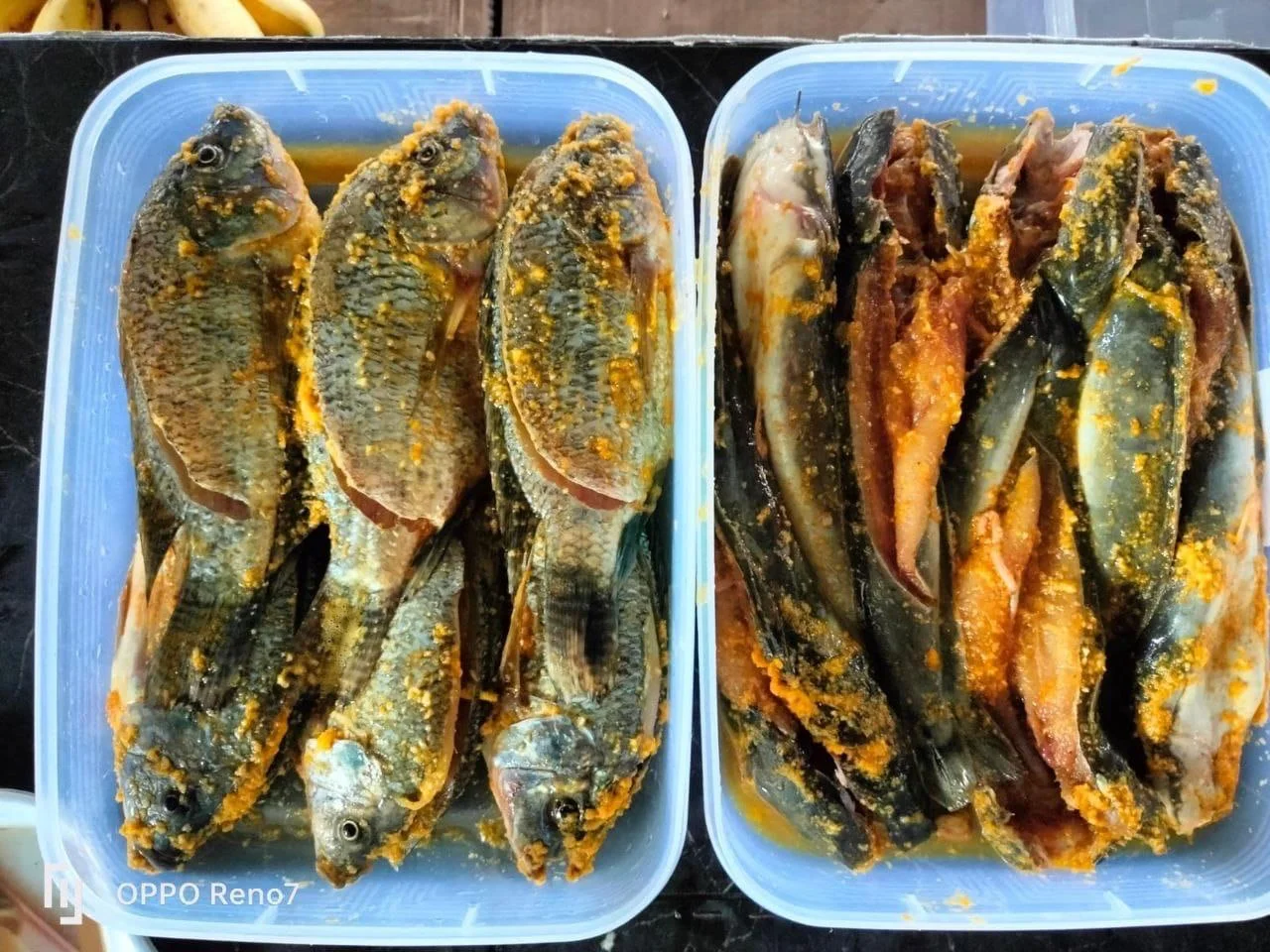 marinasi lele & nila