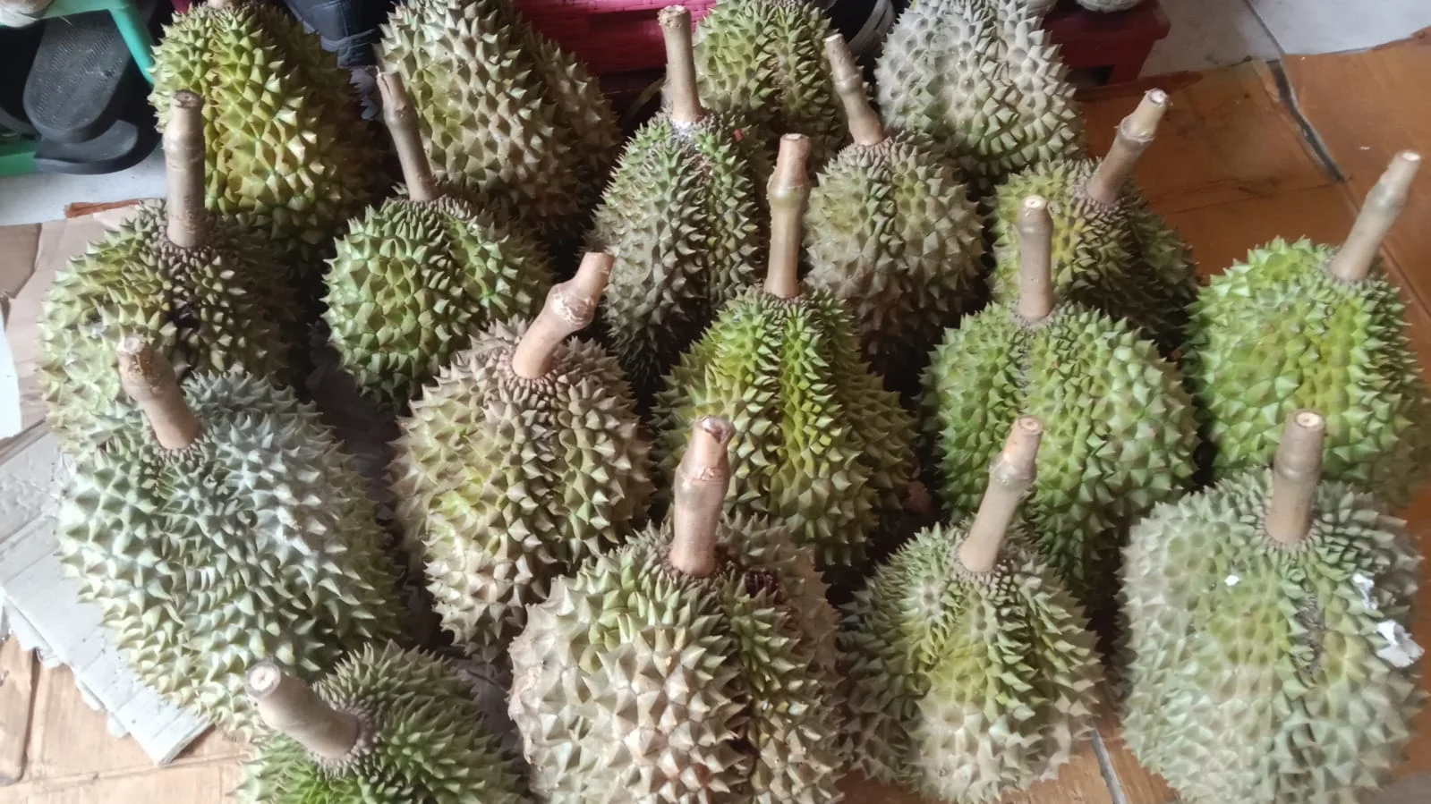 dirian mongong