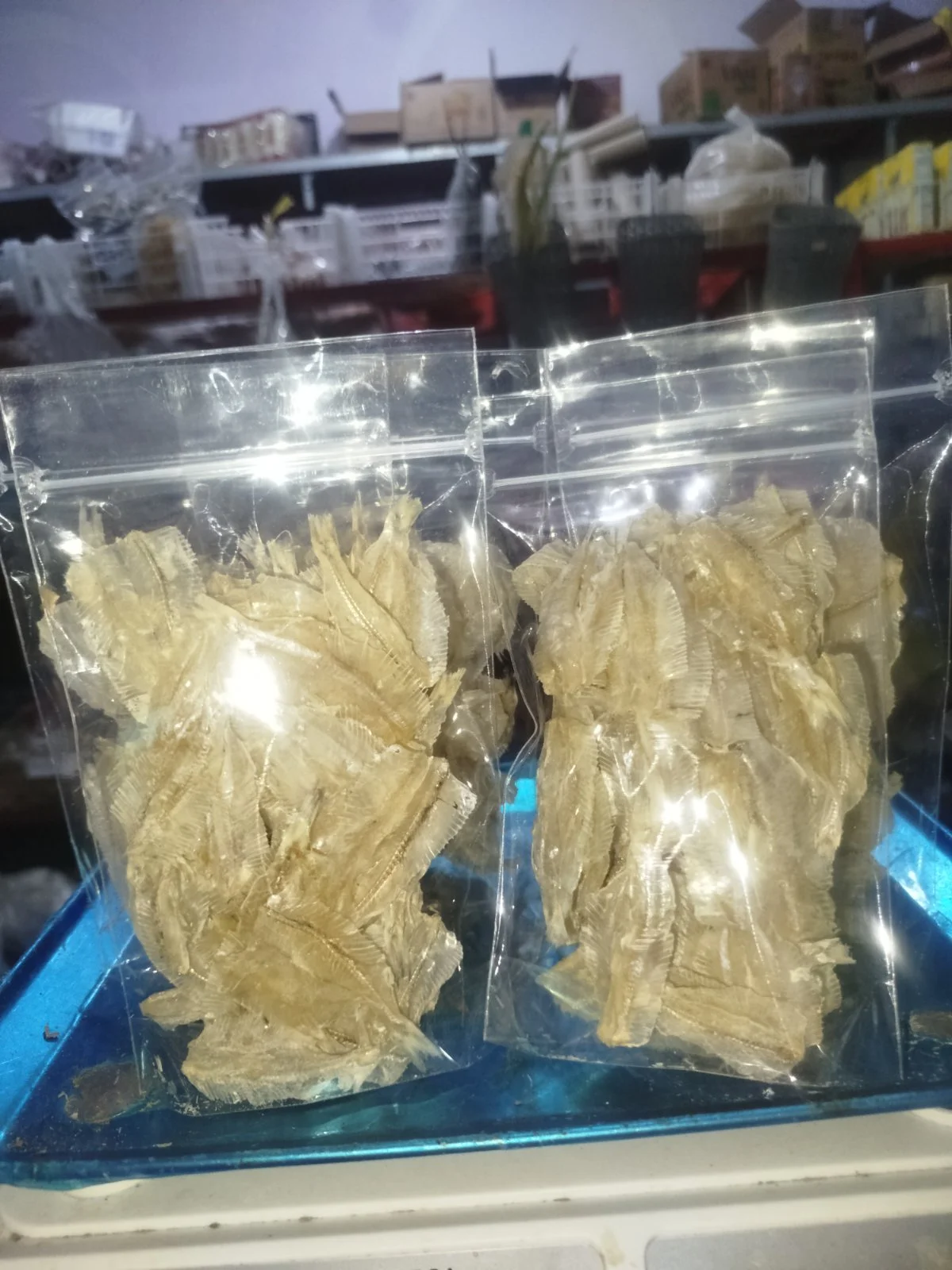 gerang bulu ayam