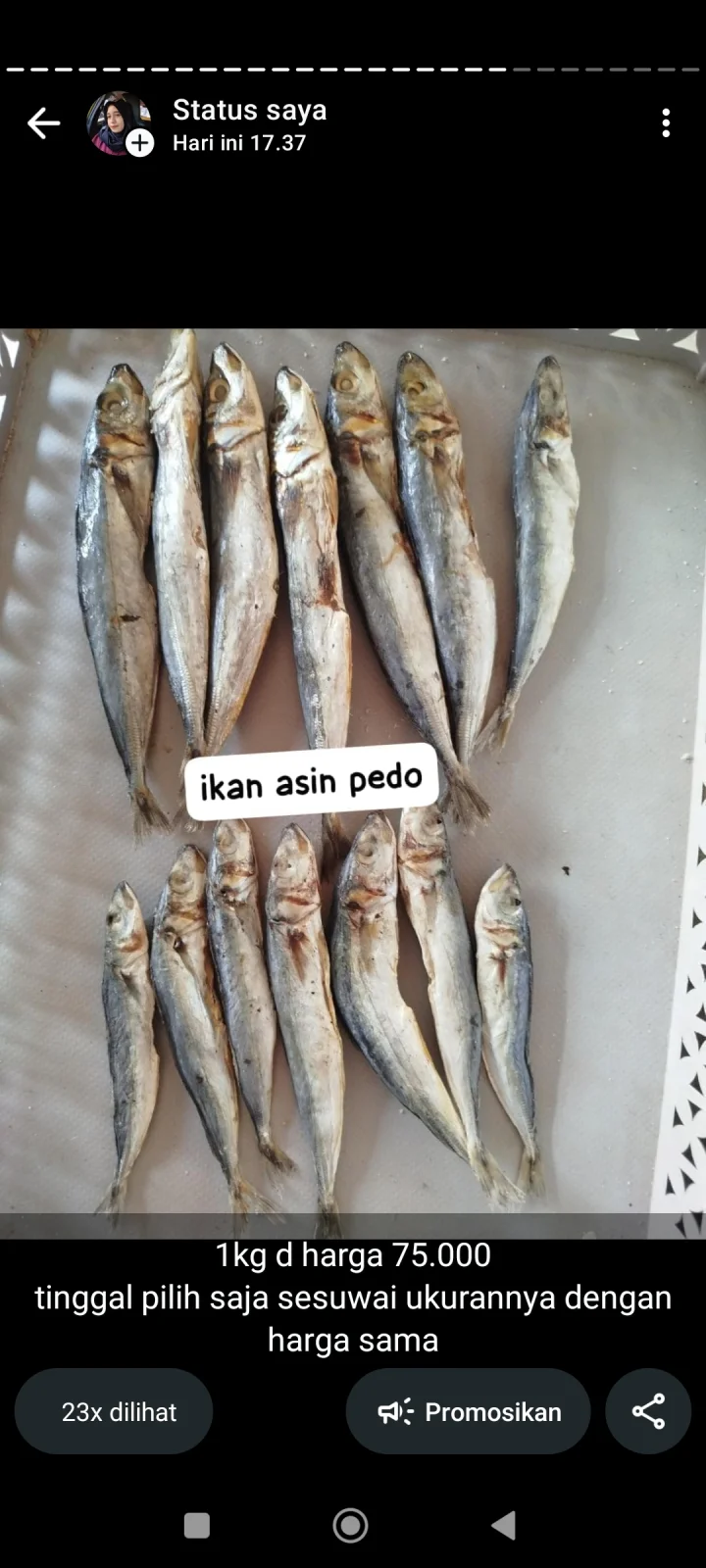 gerang peda