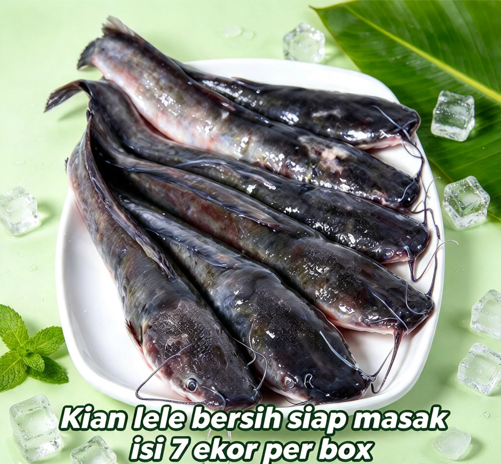 Ikan lele segar