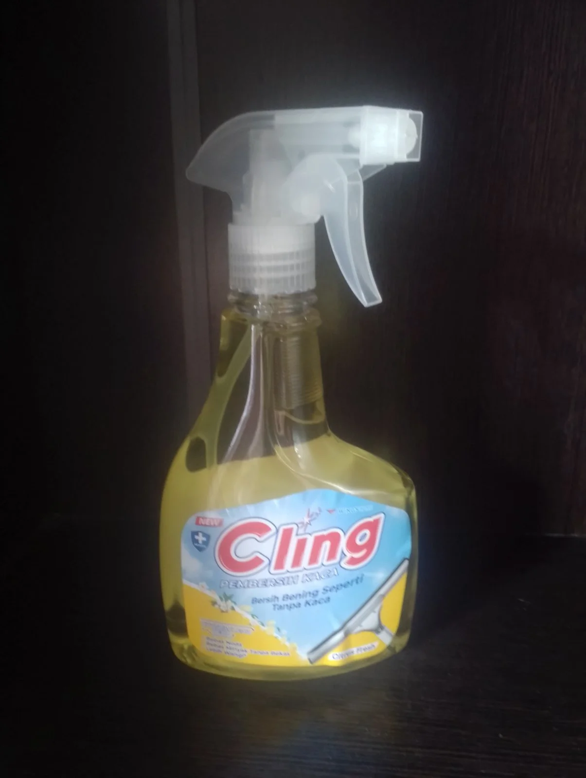 pembersih kaca