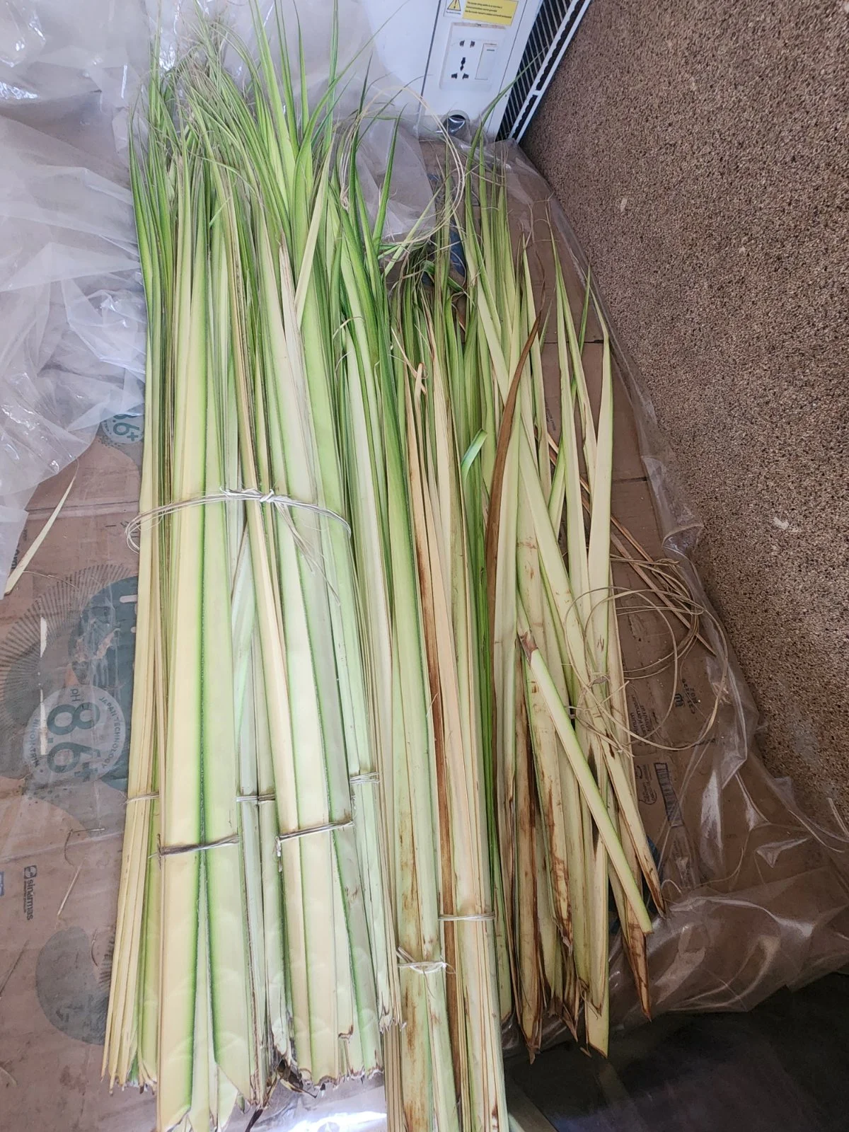 Busung Tabanan