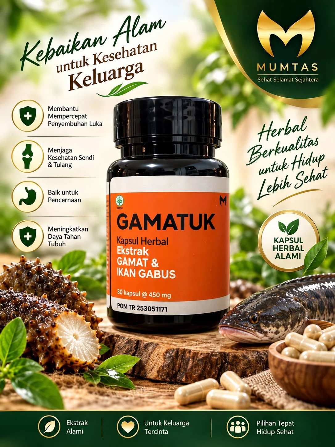 GAMATUK ( Sinergi Gamat dan Ikan Gabus )