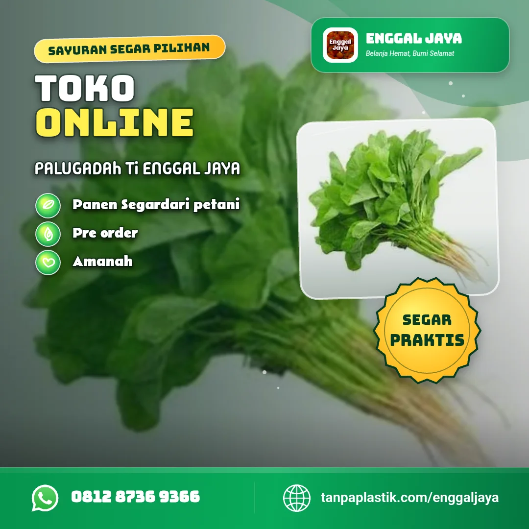 Bayam