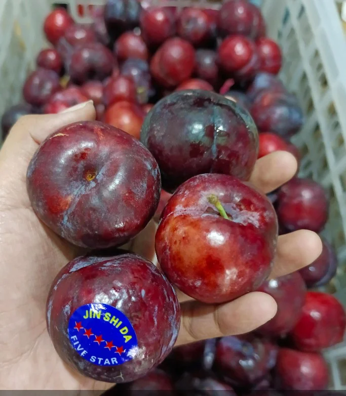 Plum