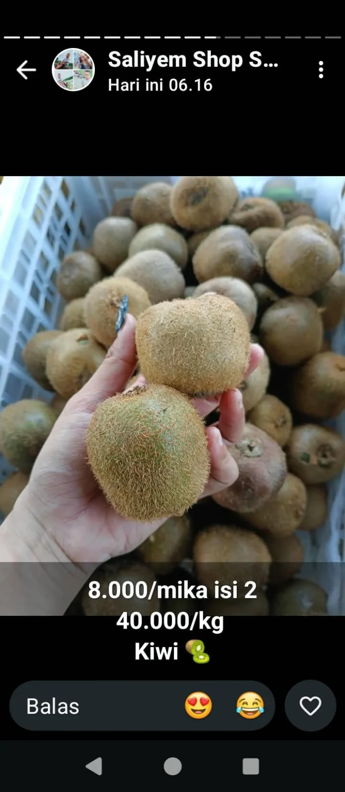 Kiwi