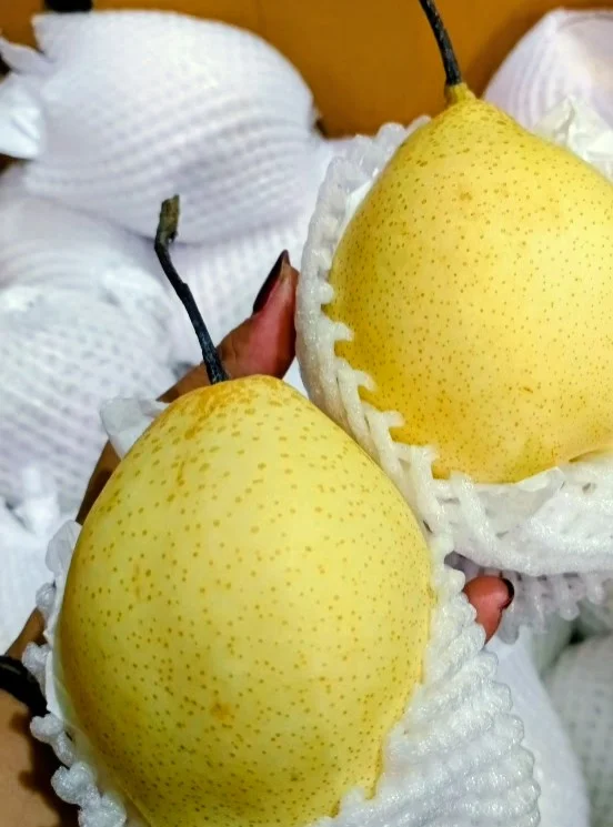 Pear yalie