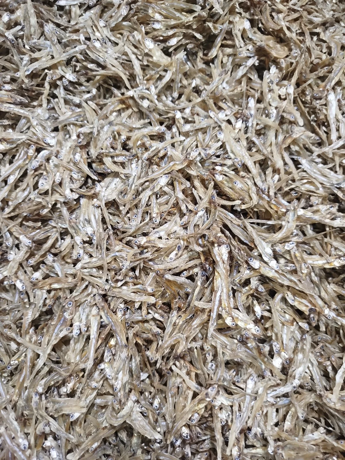 gerang teri kemasan 5kg