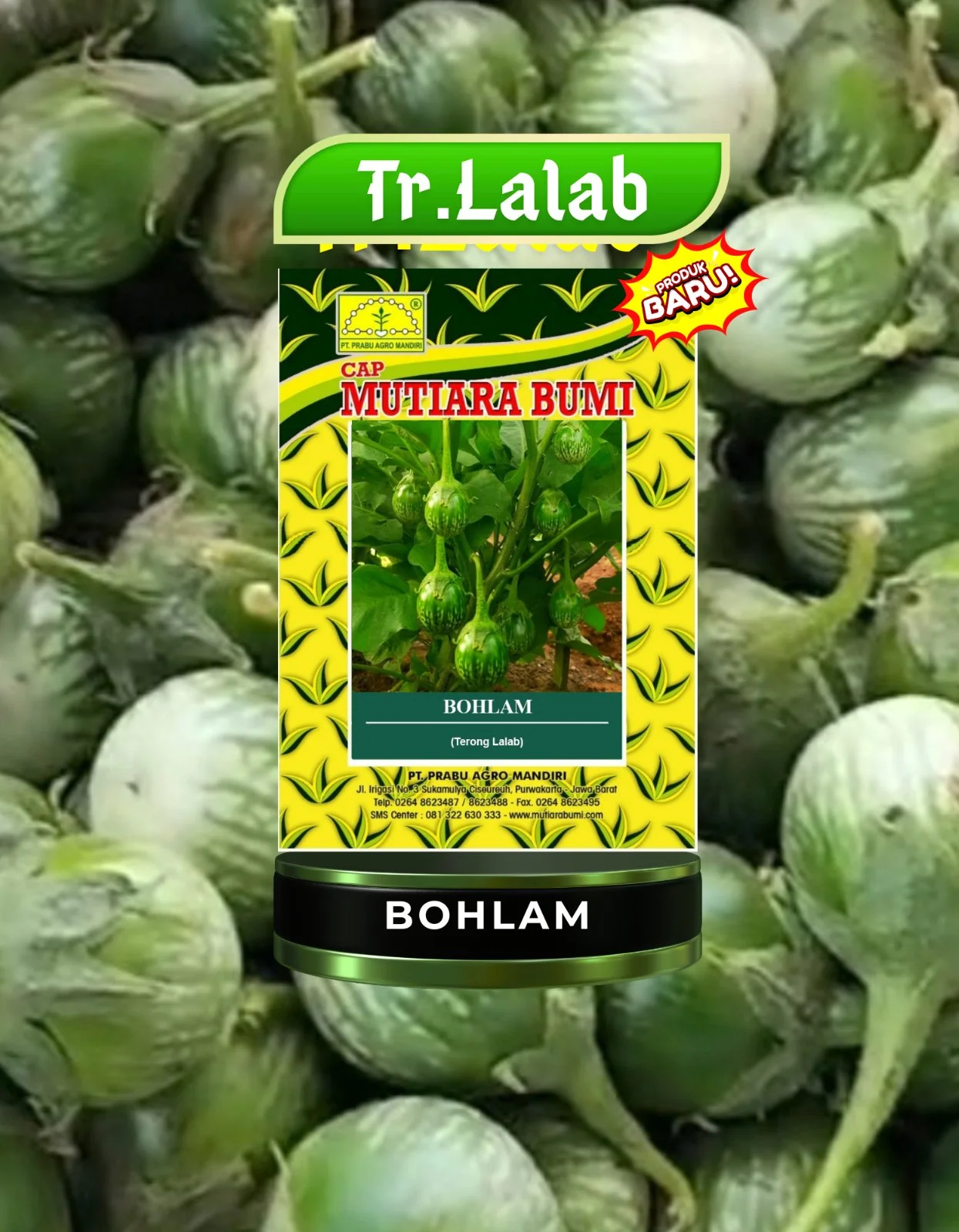 Bohlam