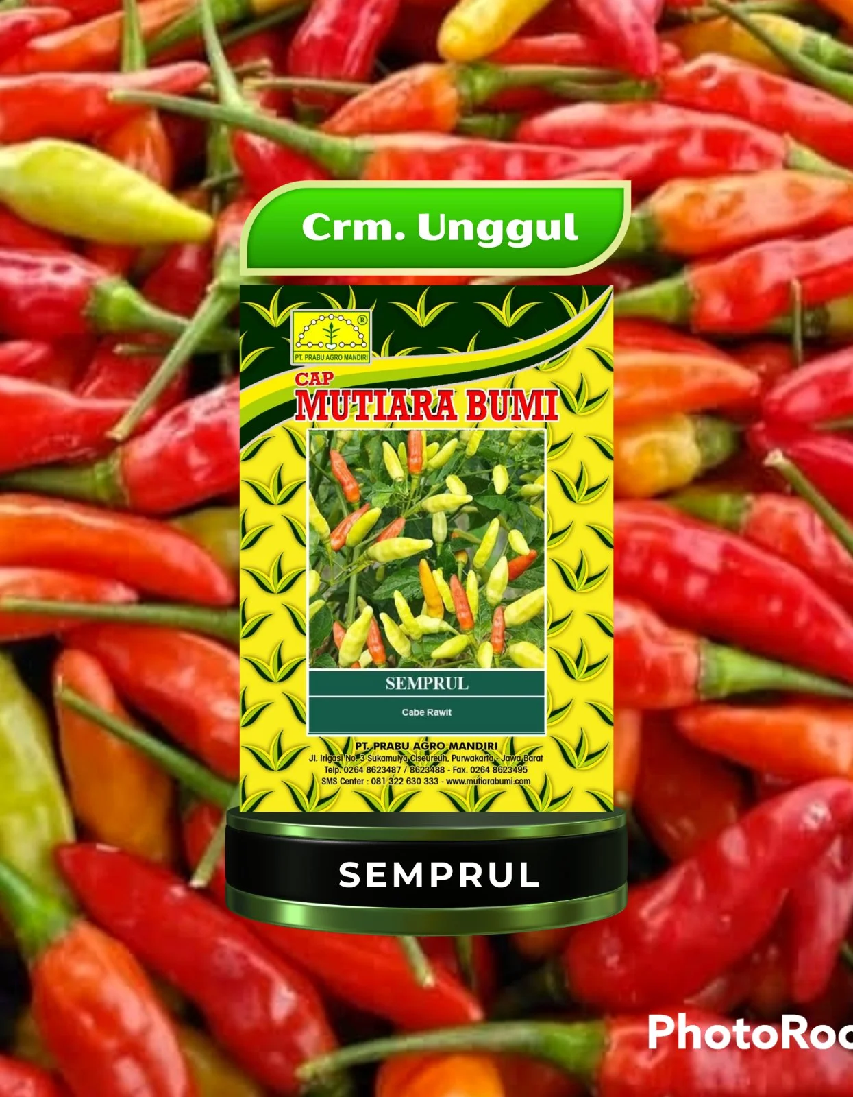 Semprul