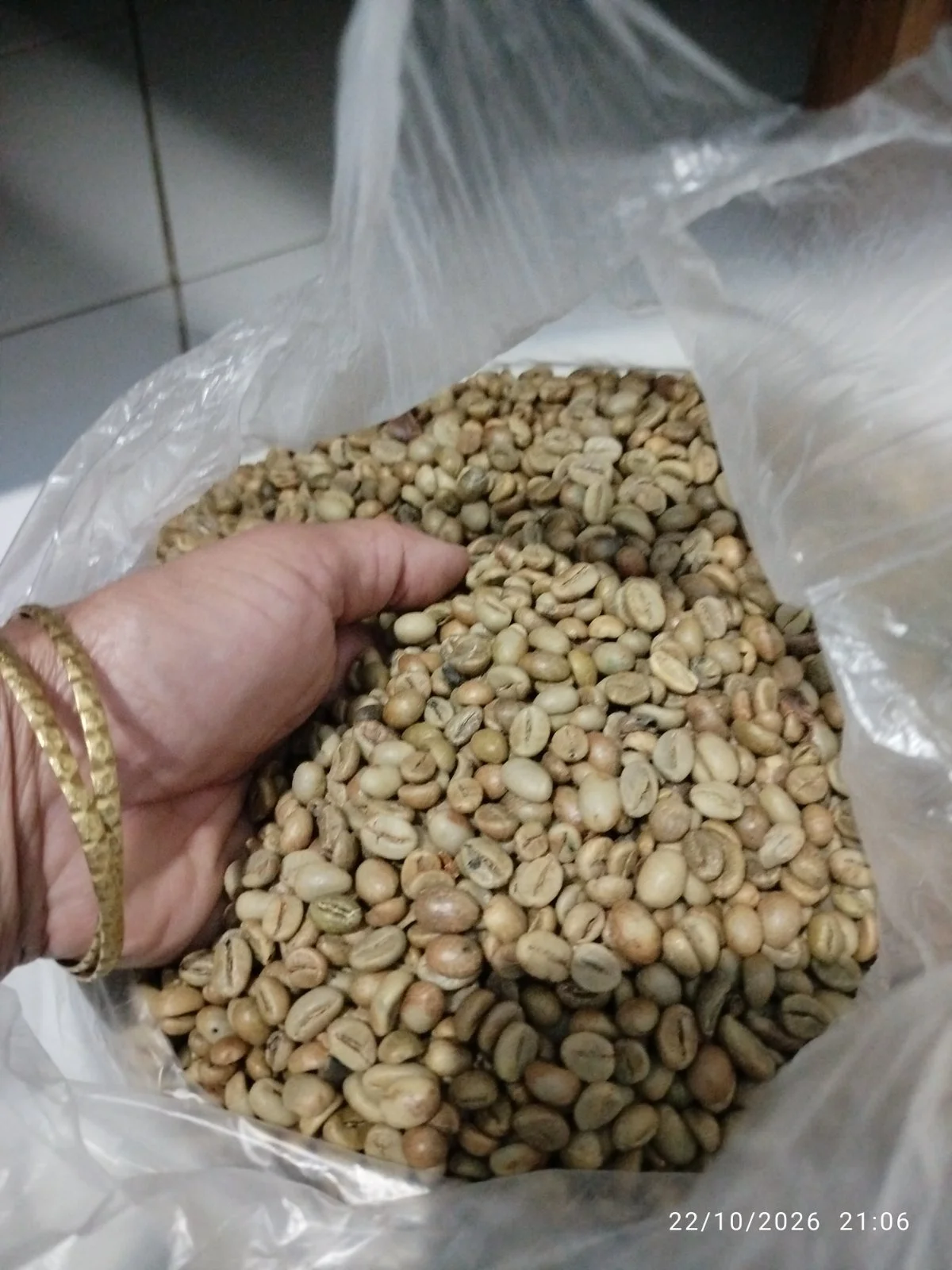 Kopi robusta