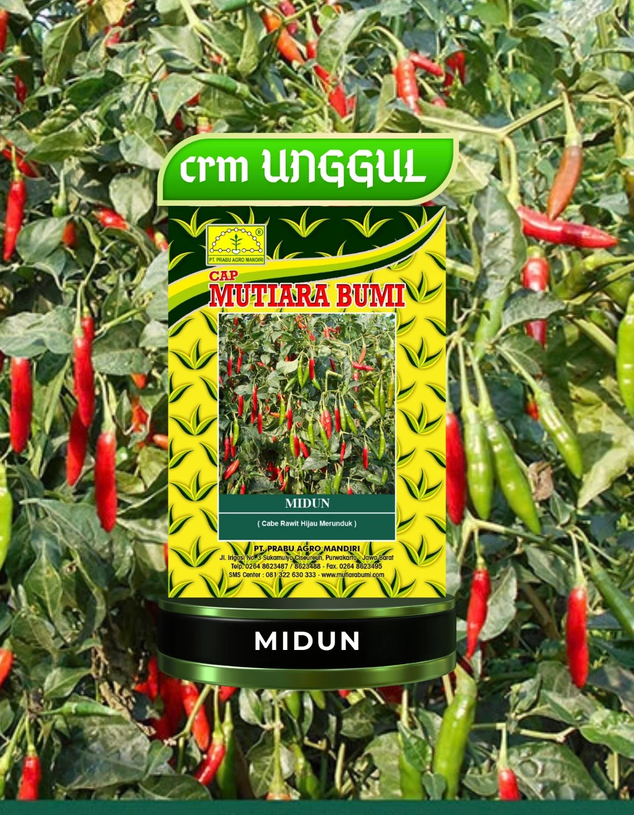Midun