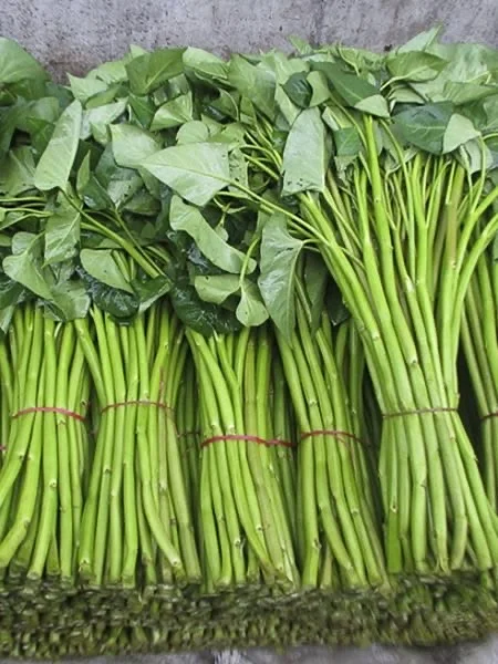 Kangkung