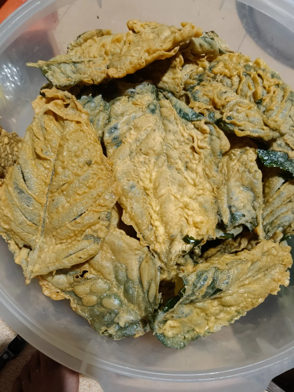Keripik Bayam