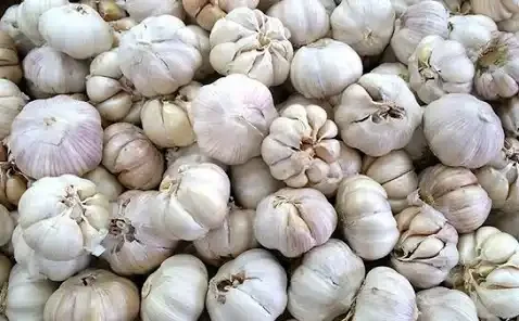 Bawang putih 500 gram