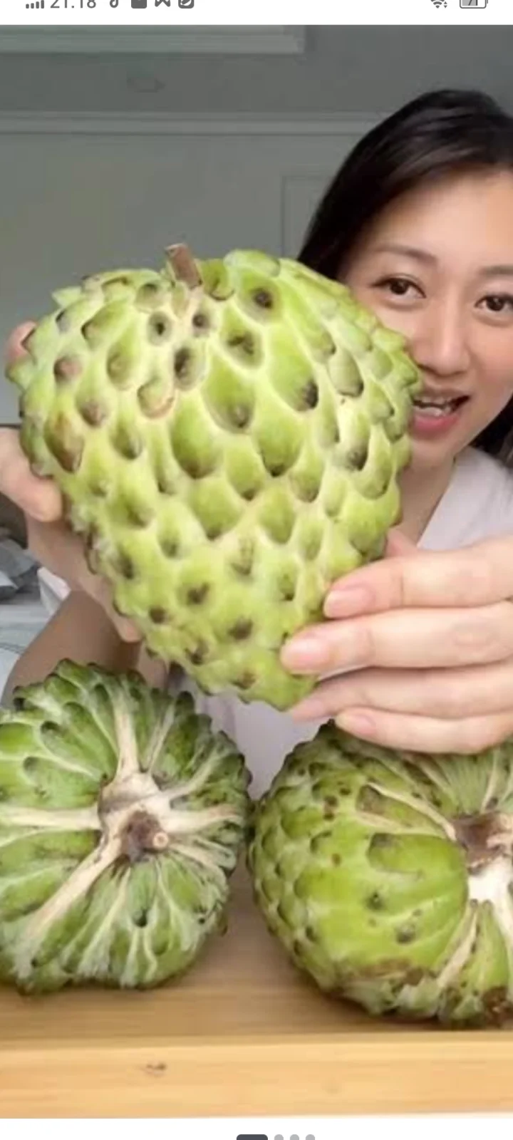 Sirkaya jumbo