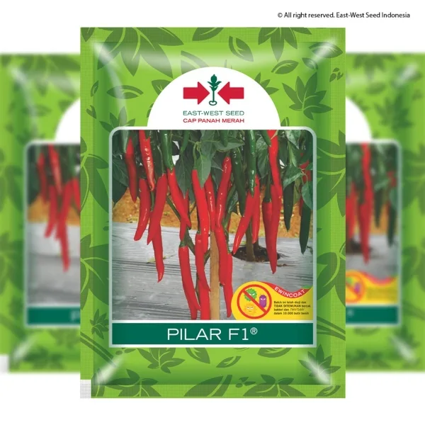 Benih Cabai Besar Pilar F1 10 gr (Panah Merah)