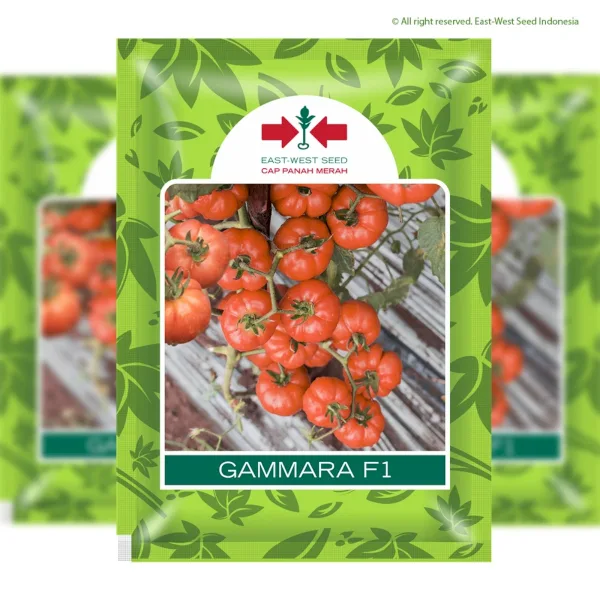 Benih Tomat Gammara F1 (Panah Merah)