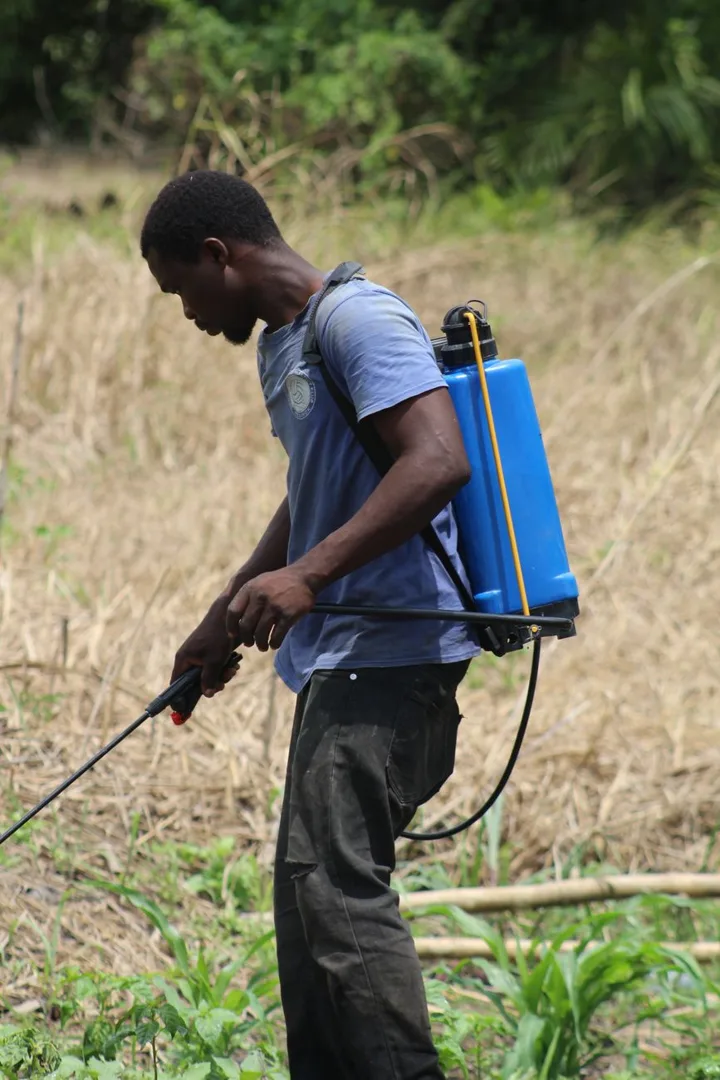Sprayer Gendong Manual 16 Liter