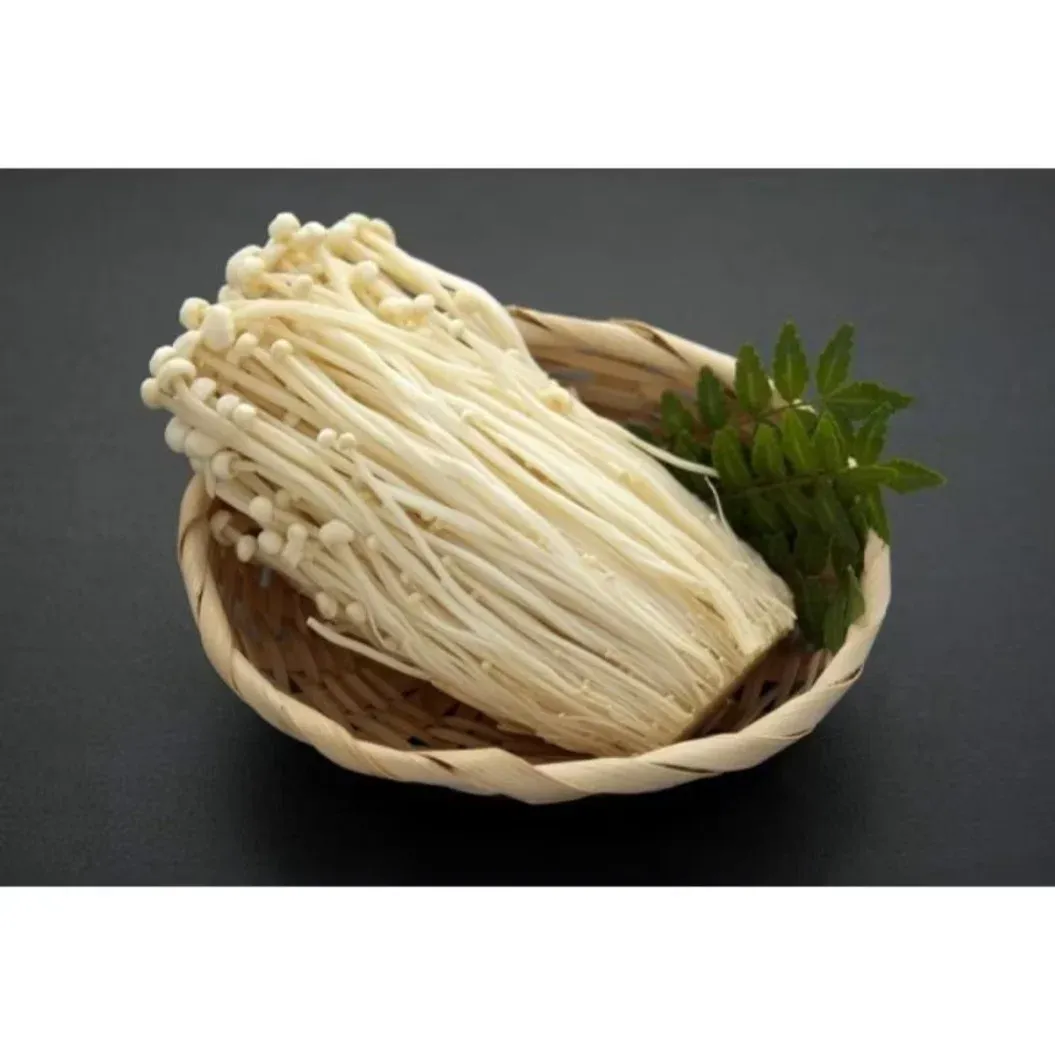 Jamur Enoki