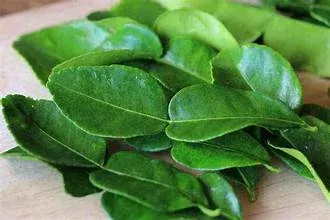 Daun Jeruk