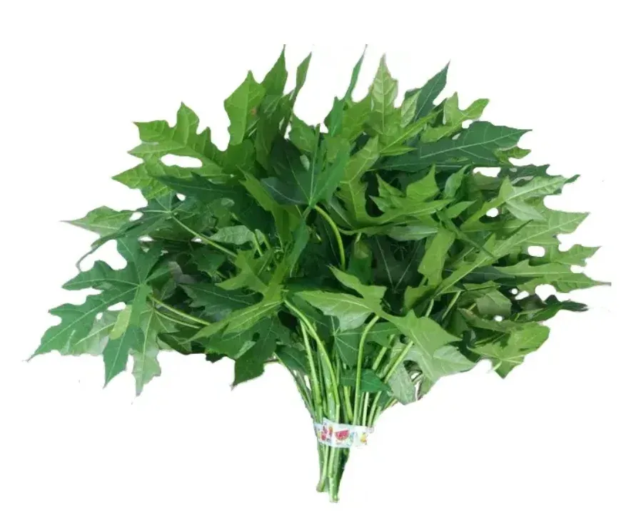 Daun Pepaya